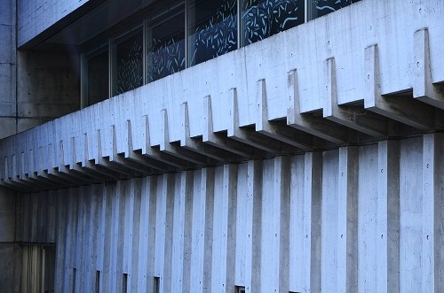 DSC_0335.jpg