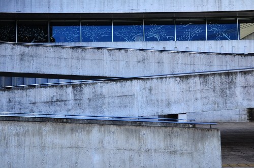DSC_0345.jpg