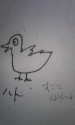 hato.jpg