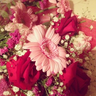 20121116.jpg