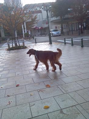 2012-11-18_07-48-26_721.jpg