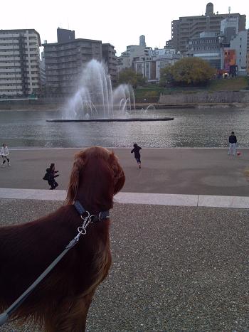 2012-11-23_15-37-35_449.jpg