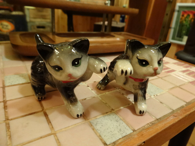 DSC00137.jpg