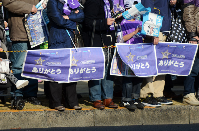 DSC_8431_20121219091543.jpg