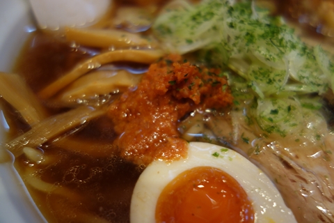 DSC00884.jpg