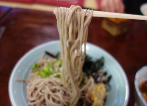 DSC02276.jpg