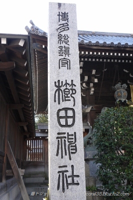 P1040965 (267x400)