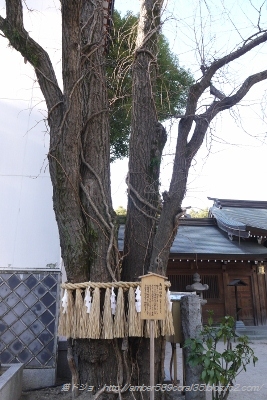 P1040954 (267x400)