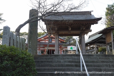 P1050149 (400x267)