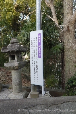 P1050150 (267x400)