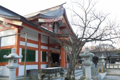 P1050159 (400x267)