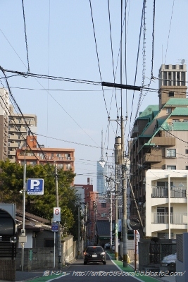 P1050166 (267x400)