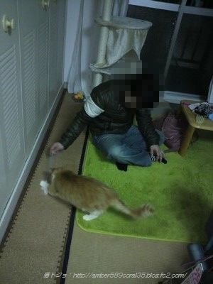 P1000343 (400x300)