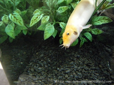 DSCF7578.jpg