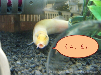 PicsArt_1361796400209.jpg