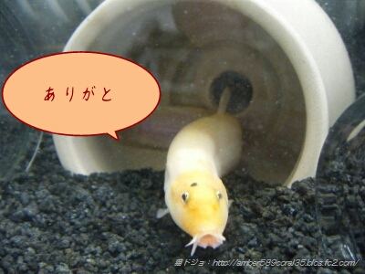 PicsArt_1361796779591.jpg