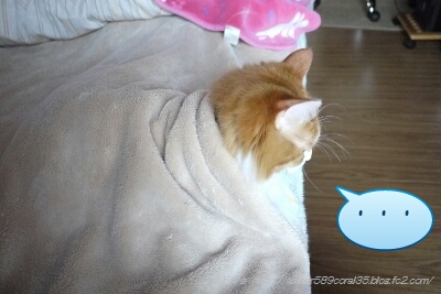 PicsArt_1362540486988.jpg