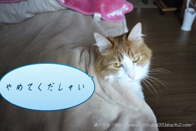 PicsArt_1362540612706.jpg