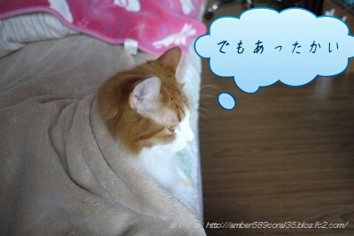 PicsArt_1362542318646.jpg