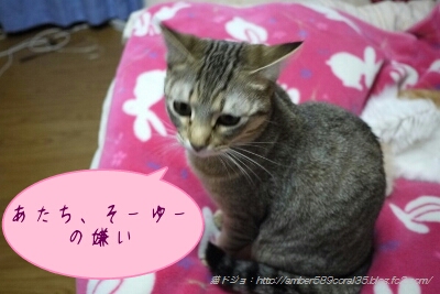 PicsArt_1362542410972.jpg