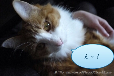 PicsArt_1362797497908.jpg
