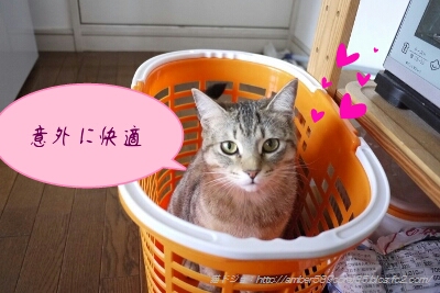 PicsArt_1364357110770.jpg