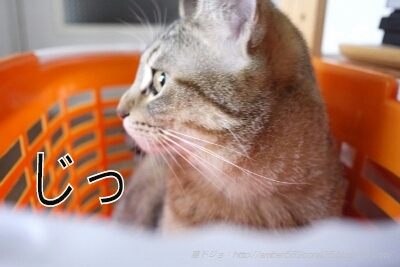 PicsArt_1364357261544.jpg