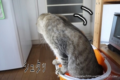 PicsArt_1364388196892.jpg