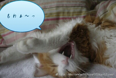 fc2_2013-03-21_14-05-24-786.jpg