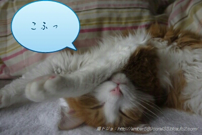 fc2_2013-03-21_14-05-50-018.jpg