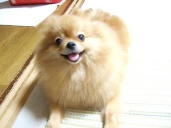 DSCF1029.jpg