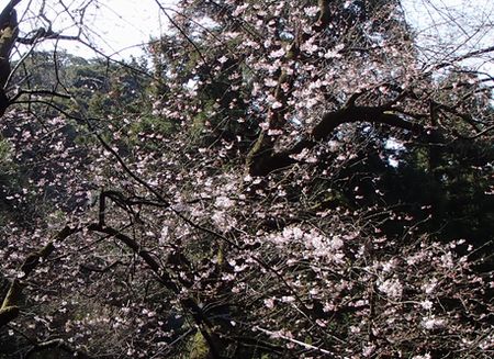 20130322-2.jpg