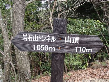 20130324-26.jpg