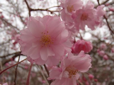 20130324-33.jpg