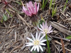 20130331-13.jpg