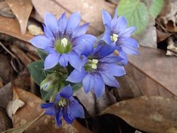 20130405-4.jpg