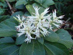 20130413-24.jpg