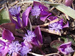 20130414-11.jpg
