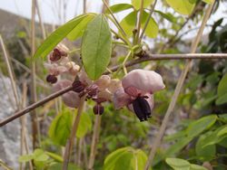 20130414-6.jpg