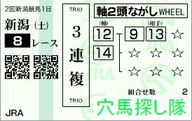 2012.07.14新潟8R-1
