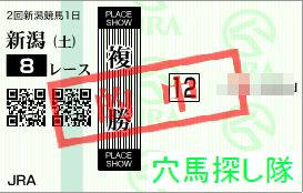 2012.07.14新潟8R-2