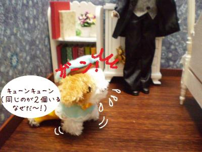 2012 12 12 041