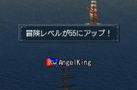 冒険レベル55