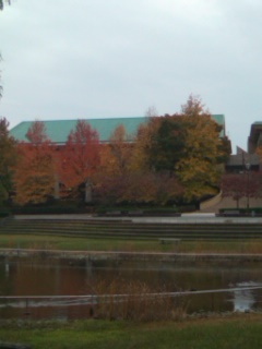 121111_1451~01