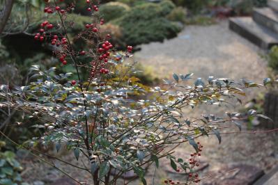 2013011501.jpg