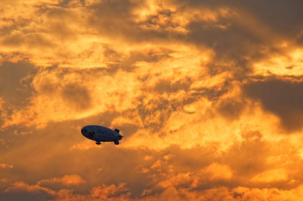 1N6A328920141025.jpg