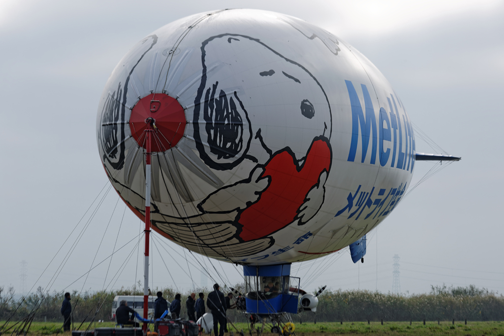 1N6A348420141026.jpg