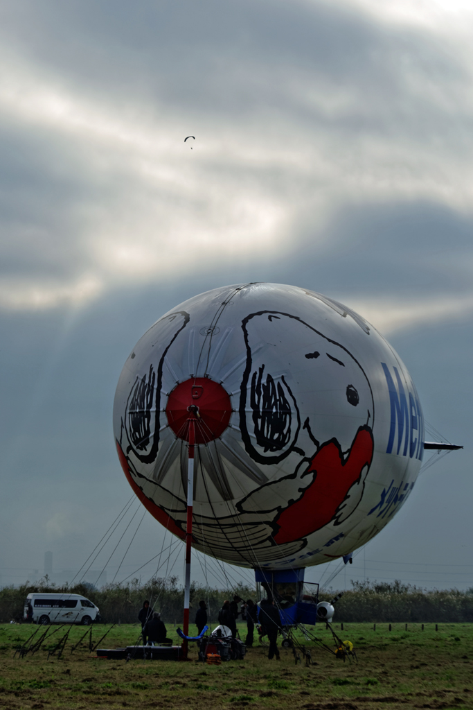 1N6A349320141026.jpg