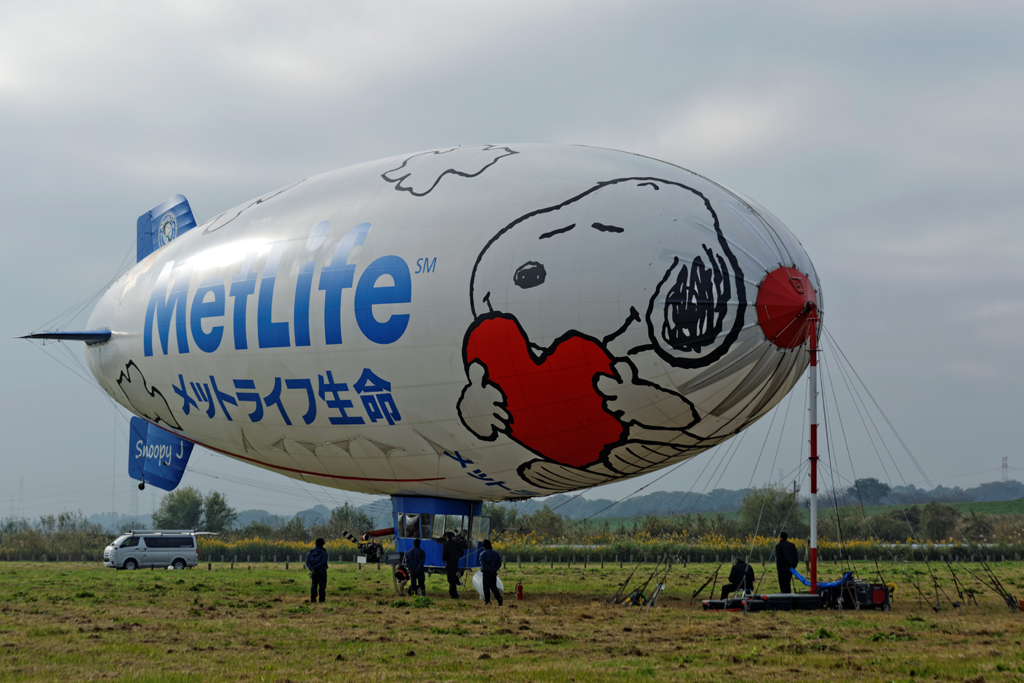 1N6A350820141026.jpg