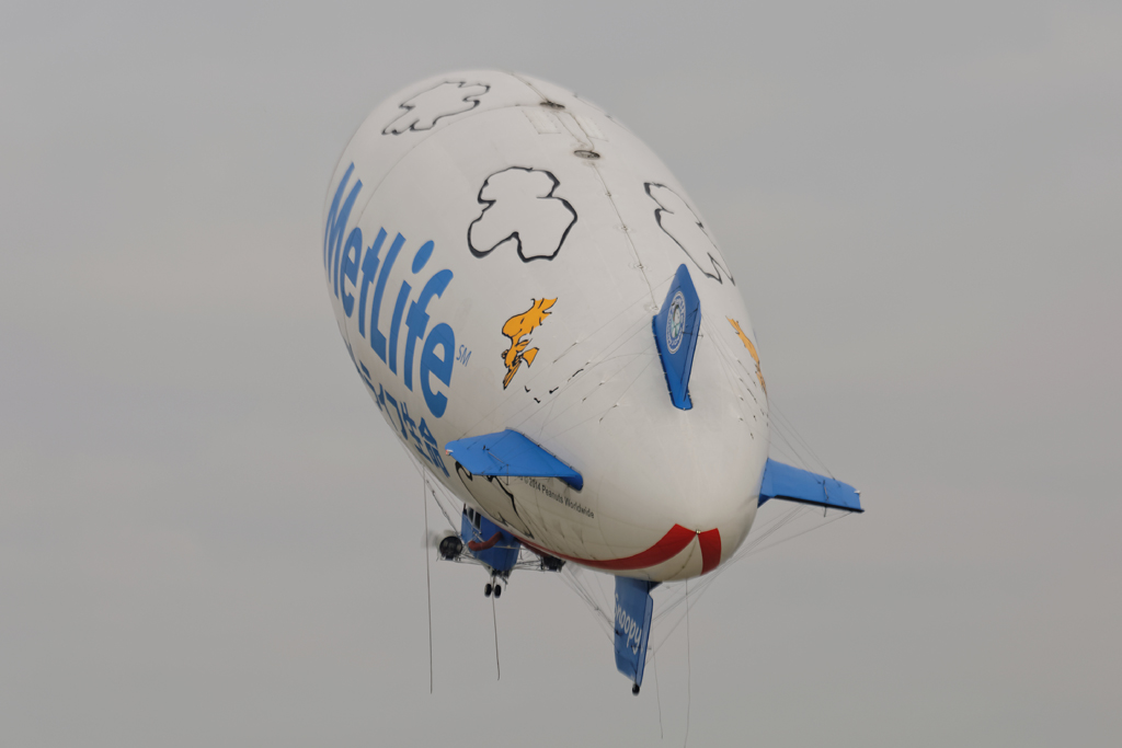 1N6A360520141026.jpg